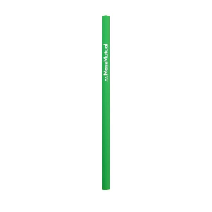 Silicone reusable Straw - Straight