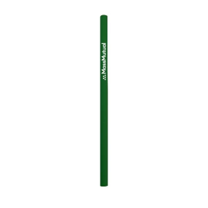 Silicone reusable Straw - Straight